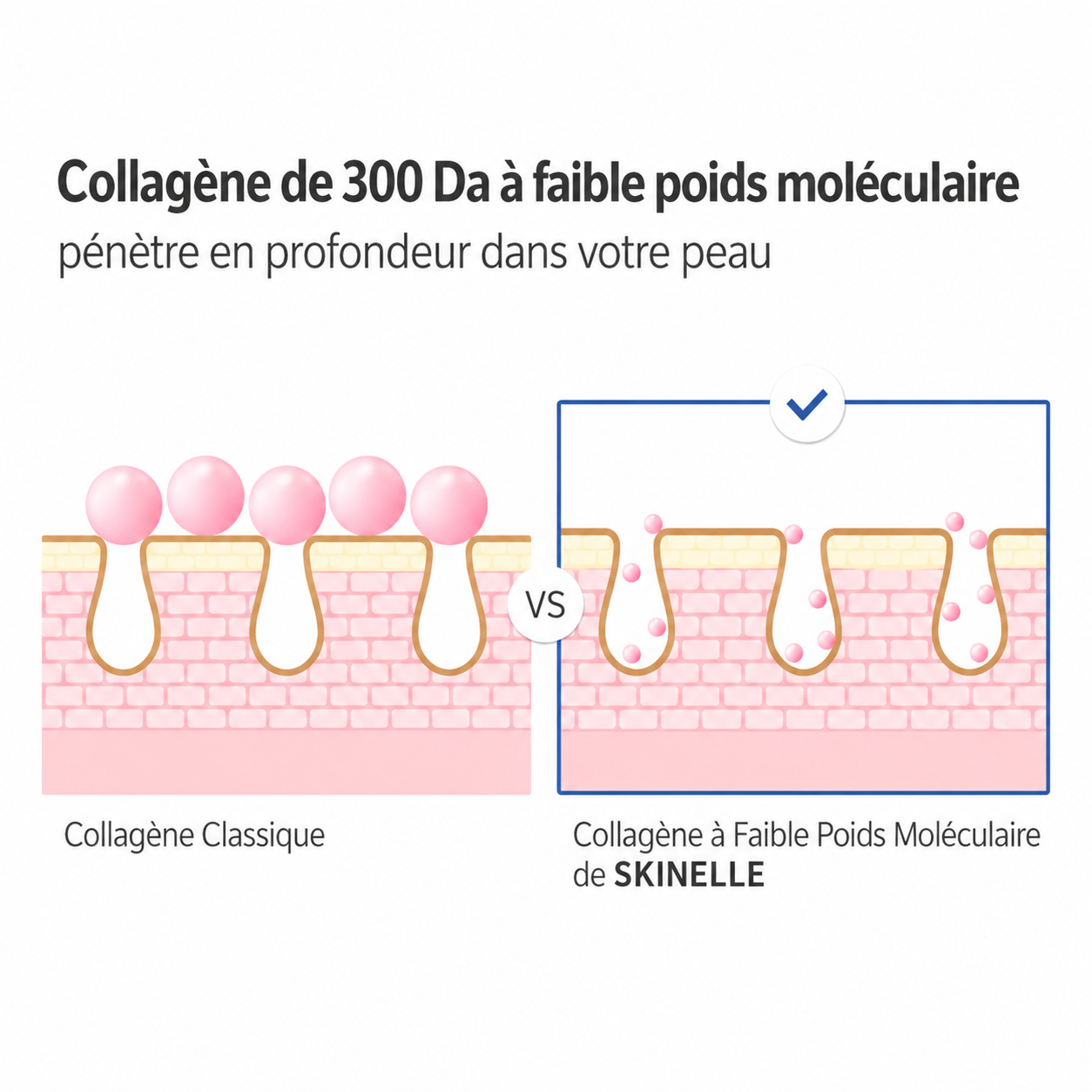 Skinelle – Sérum-Crème Anti-Âge au Collagène Profond